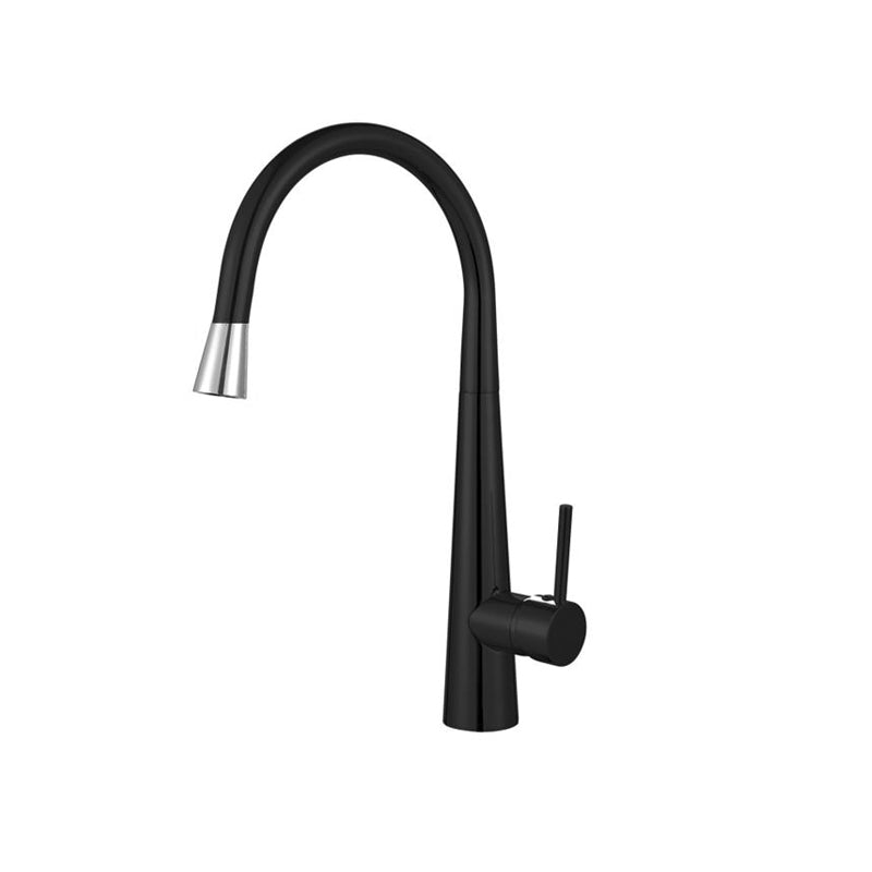 Küchendesigner Gooseneck Kitchen Mixer