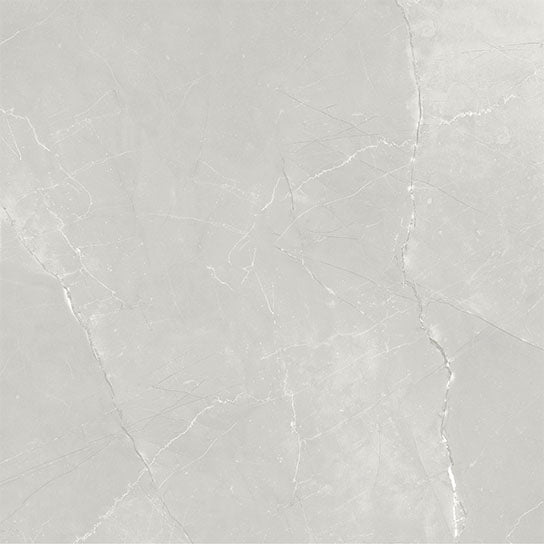 Garda Polished Porcelain Tile - 600x600
