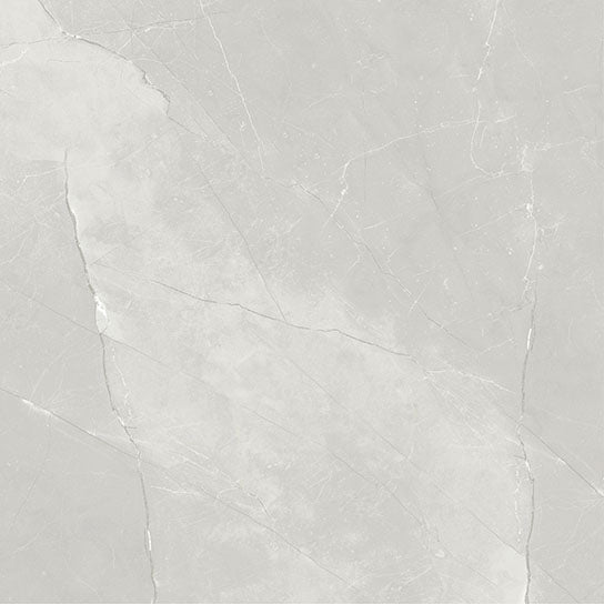 Garda Polished Porcelain Tile - 600x600