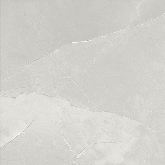 Garda Polished Porcelain Tile - 600x600