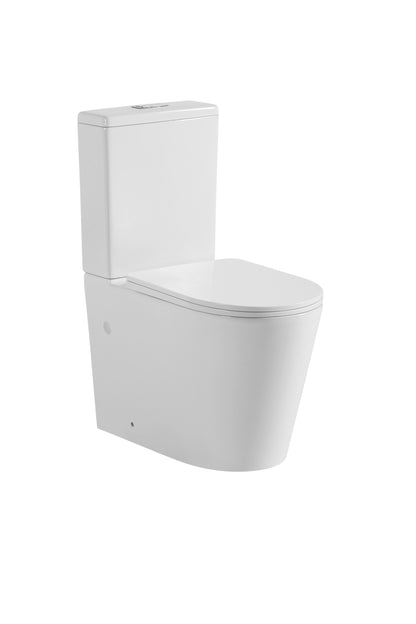 Avis Rimless Toilet