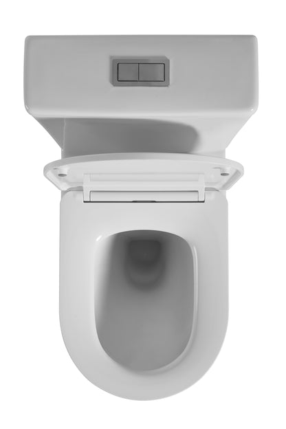 Avis Rimless Toilet