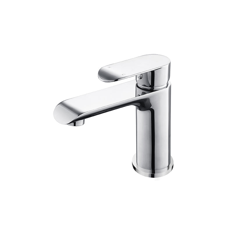 Oval Curve Basin Mixer