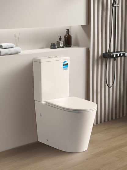 Avis Rimless Toilet