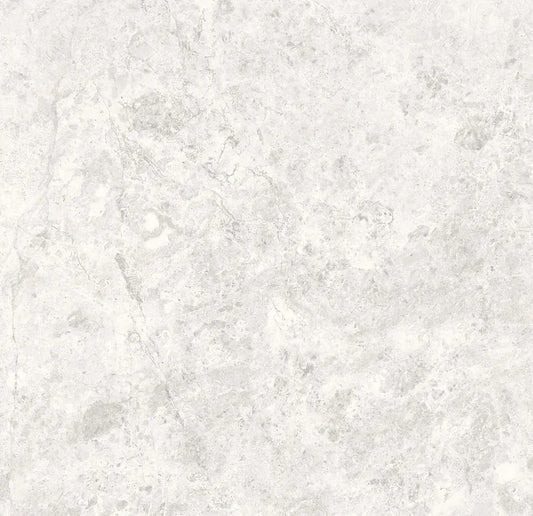 Tundra Light