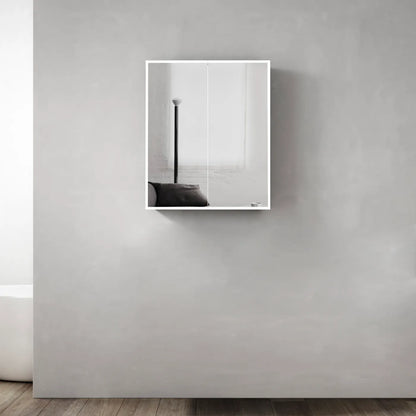 LED Moonlight Shaving Cabinet - 600x650