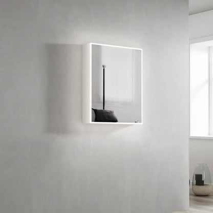 LED Moonlight Shaving Cabinet - 600x650